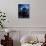 Douglas Fairbanks Jr.-null-Photo displayed on a wall