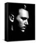 Douglas Fairbanks Jr.-null-Framed Stretched Canvas