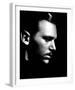 Douglas Fairbanks Jr.-null-Framed Photo