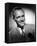Douglas Fairbanks Jr.-null-Framed Stretched Canvas