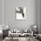 Douglas Fairbanks-Ralph Bruce-Giclee Print displayed on a wall