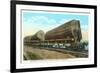 Douglas Fir Logs on Flatbeds, Washington-null-Framed Premium Giclee Print