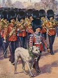 Irish Guards and Mascot-Douglas Macphrson-Art Print