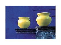 Yellow Pots, Blue Wall-Douglas Steakley-Giclee Print