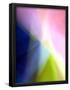 Essential Black