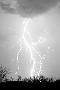Just the Print