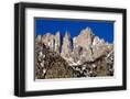 Chelsea Black