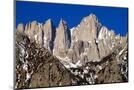 Wood Mount