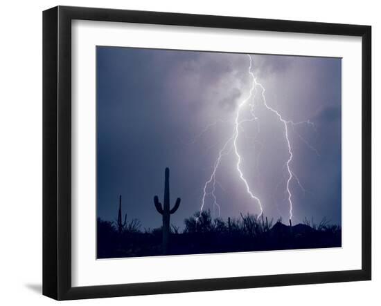 Premium Photographic Print, , large