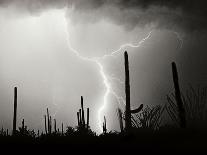 Cool Colorado Rain BW-Douglas Taylor-Photographic Print