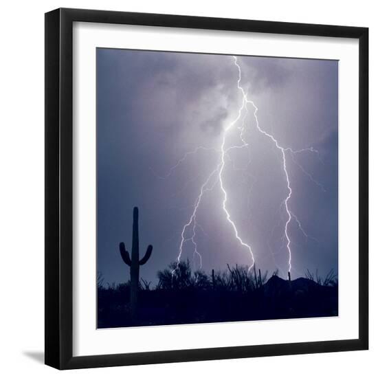 Premium Photographic Print, , large