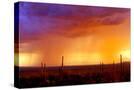 Stretched Canvas