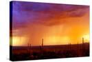 Stretched Canvas