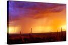 Stretched Canvas
