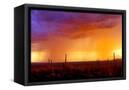 Canvas Black