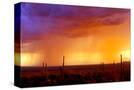 Stretched Canvas