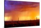 Stretched Canvas