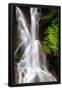 Essential Black