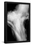 Essential Black
