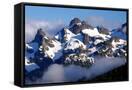 Canvas Black