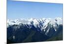 Wood Mount