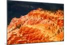 Wood Mount