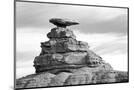 Wood Mount