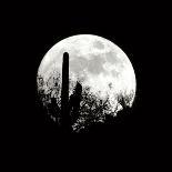 Moonrise in May I-Douglas Taylor-Photographic Print