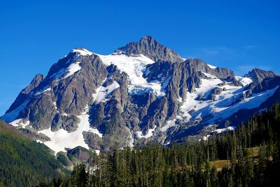 Premium Photographic Print, , large