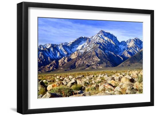 Photographic Print, , large