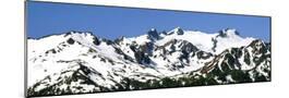 Wood Mount