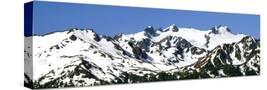 Stretched Canvas