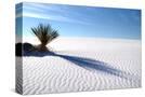 Stretched Canvas