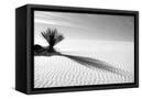 Canvas Black