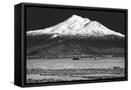 Canvas Black