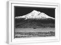 Chelsea White
