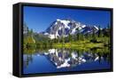 Canvas Black