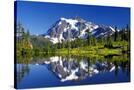 Stretched Canvas