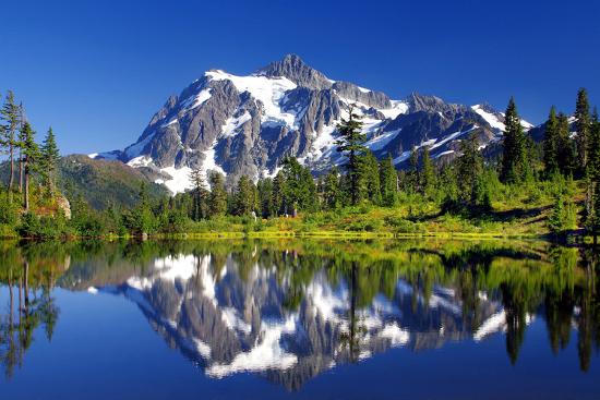 Premium Photographic Print, , large