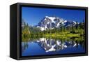 Canvas Black