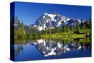 Stretched Canvas