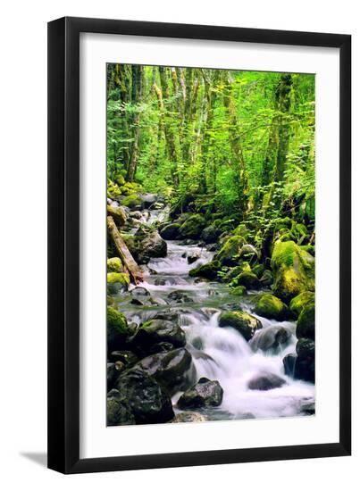 Premium Photographic Print, , large