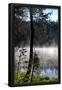 Essential Black
