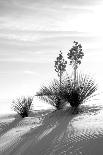 Spearhead Mesa BW-Douglas Taylor-Photographic Print