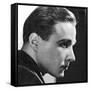 Douglass Montgomery, Canadian Actor, 1934-1935-null-Framed Stretched Canvas