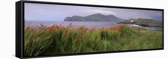 Doulus Bay and Doulus Head, Valentia Island, Ring of Kerry, Munster, Republic of Ireland, Europe-Patrick Dieudonne-Framed Stretched Canvas