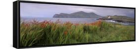 Doulus Bay and Doulus Head, Valentia Island, Ring of Kerry, Munster, Republic of Ireland, Europe-Patrick Dieudonne-Framed Stretched Canvas