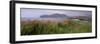 Doulus Bay and Doulus Head, Valentia Island, Ring of Kerry, Munster, Republic of Ireland, Europe-Patrick Dieudonne-Framed Photographic Print