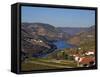 Douro Valley, Pinhao, Quinta Nova De Nossa Senhora Do Carmo Estate - First Wine Hotel in Portugal-Camilla Watson-Framed Stretched Canvas