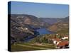 Douro Valley, Pinhao, Quinta Nova De Nossa Senhora Do Carmo Estate - First Wine Hotel in Portugal-Camilla Watson-Stretched Canvas